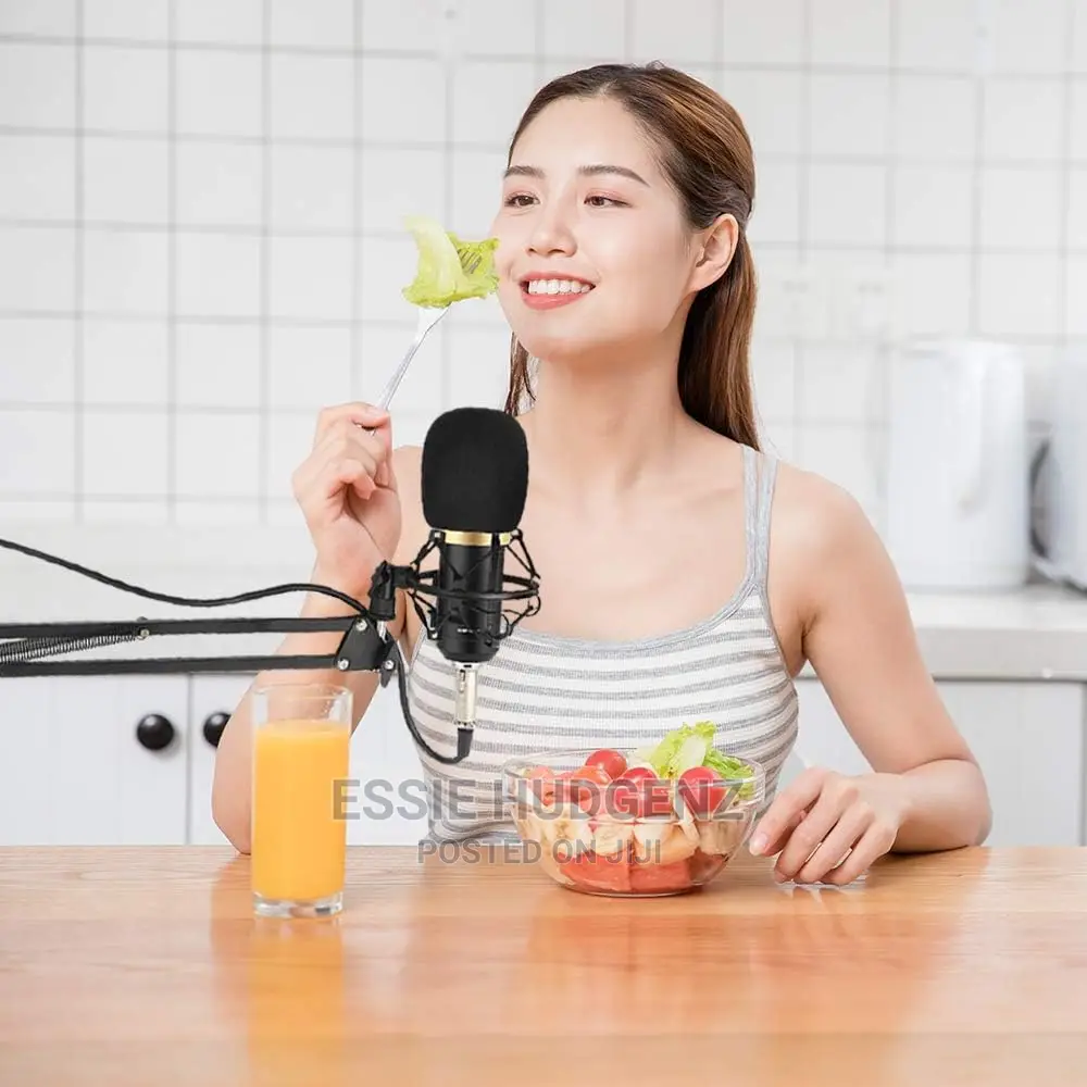B800 Condenser Studio Recording Microphone