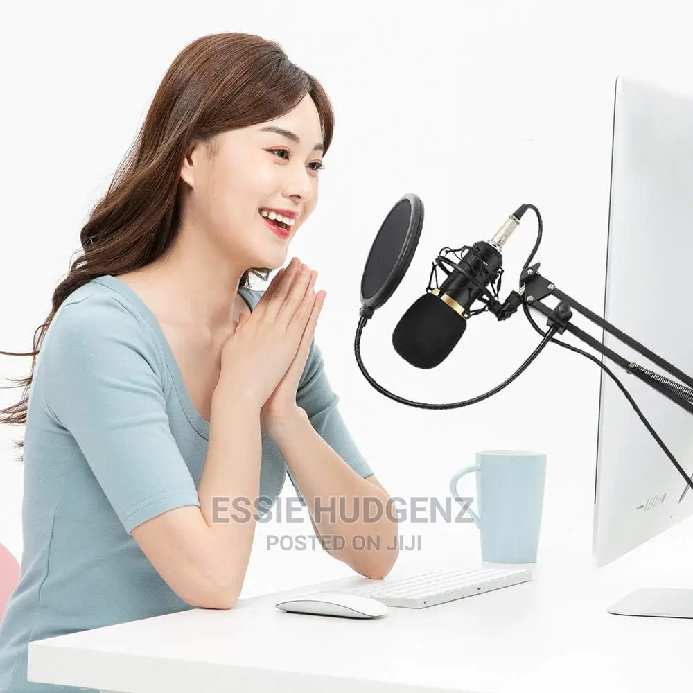 B800 Condenser Studio Recording Microphone