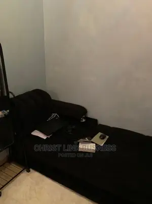 Furnished Apartments/Rooms* 