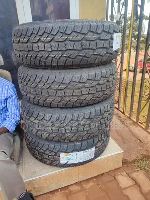 265/70r16 Zmax Tires