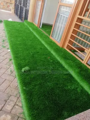 Grass Carpet/Artificial Grass Grass Carpet