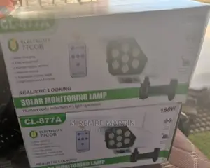 Solar Security Lamp