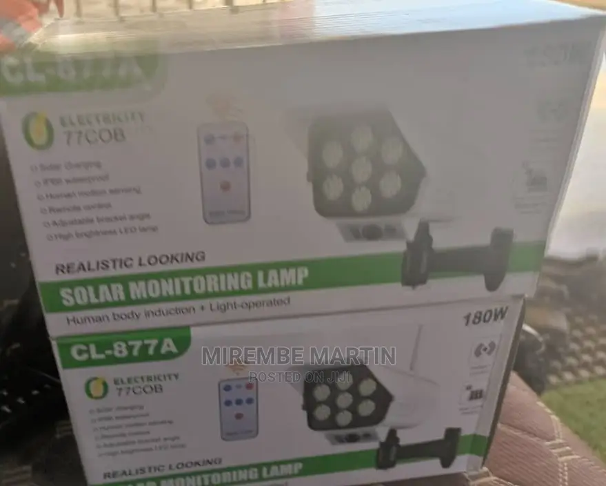 Solar Security Lamp
