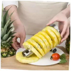Stainless Steel Pineapple Cutter
