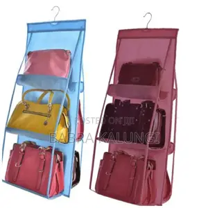Transparent Bag Organizer