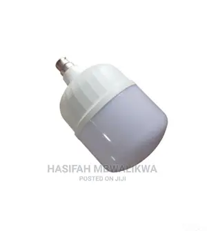 40W LED Bulb- Pin and Screw