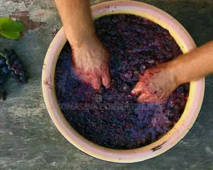Wine Making, Formulations and Hands on Training Consultant