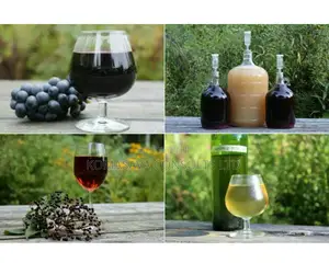 Wine Making, Formulations and Hands on Training Consultant