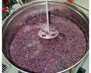 Wine Making, Formulations and Hands on Training Consultant