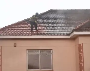 Expertised Roof Cleaning Service