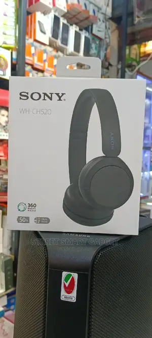 Sony Ch520 Wireless Headphones