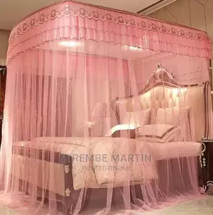 2 Stand Mosquito Net