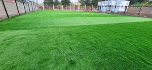 Artificial Grass Carpets