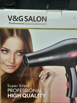 V G Professional Hair Dryer