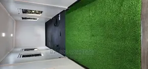 Artificial Grass