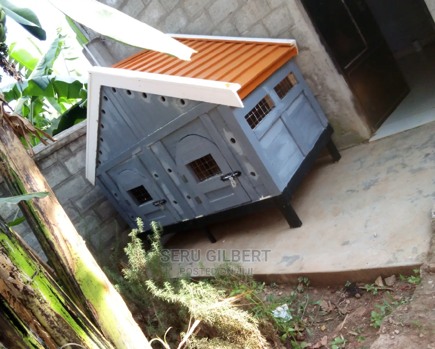 Grey Dog House