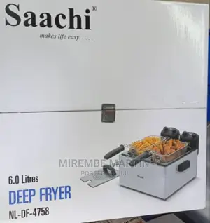 Electric Double Deep Fryer
