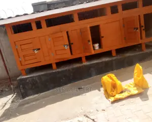 Beautiful Dog Kennel