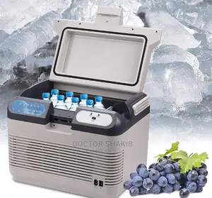 Car Refrigerator