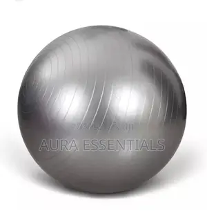 High Quality Yoga Ball / Gym Ball