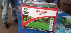 The BERMUDA Lawn Grass Seeds 500gm