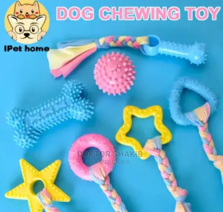 5pcs Cats/Dogs Play Toys