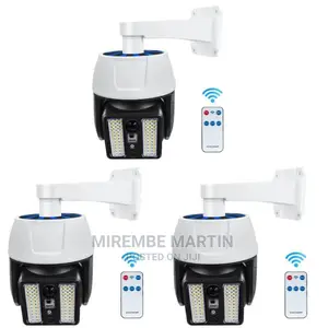Motion Sensor Solar Light