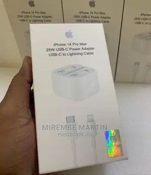 iPhone Pro Max Charger