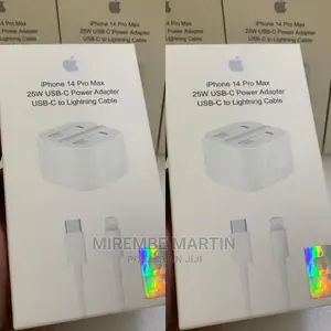 iPhone Pro Max Charger