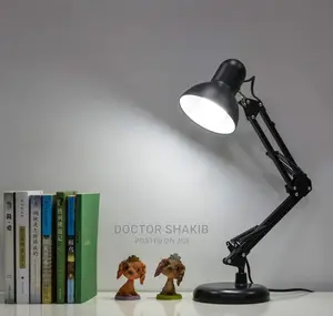 Long Standing Lamp