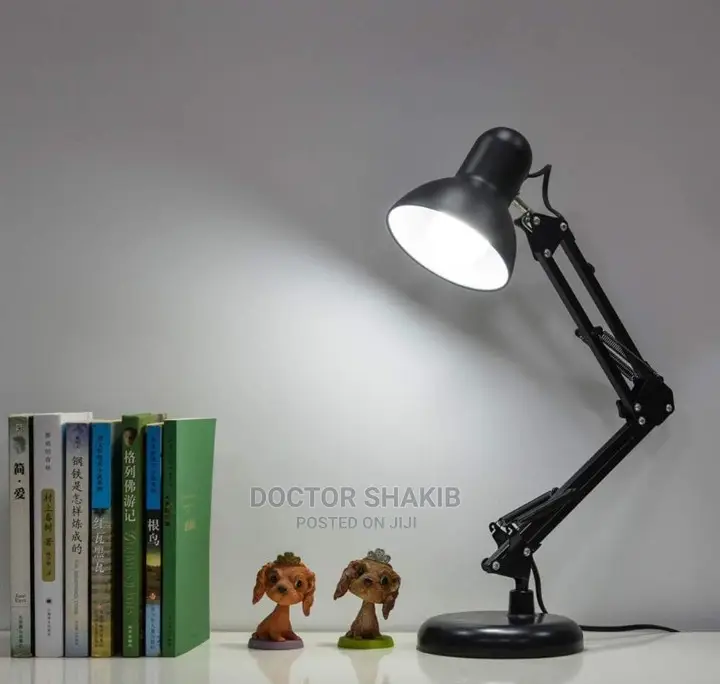 Long Standing Lamp