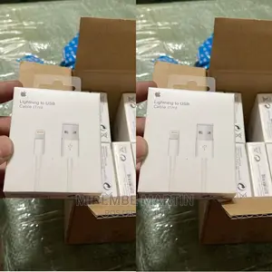 iPhone USB Cable