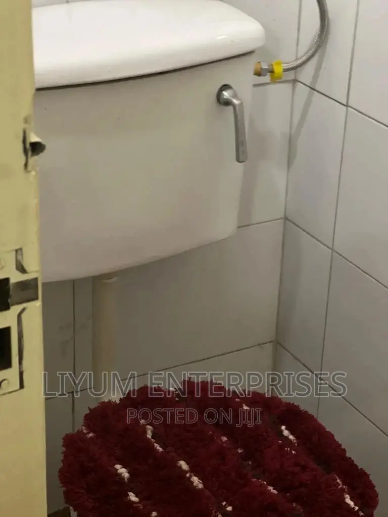 Fully Furnished Apartment
