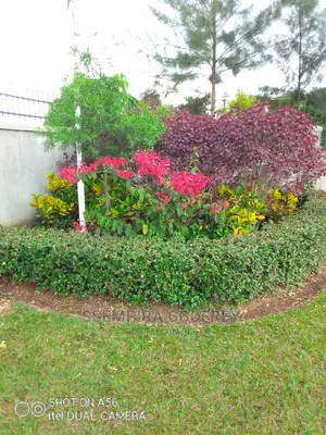 Compound Planning and Paving