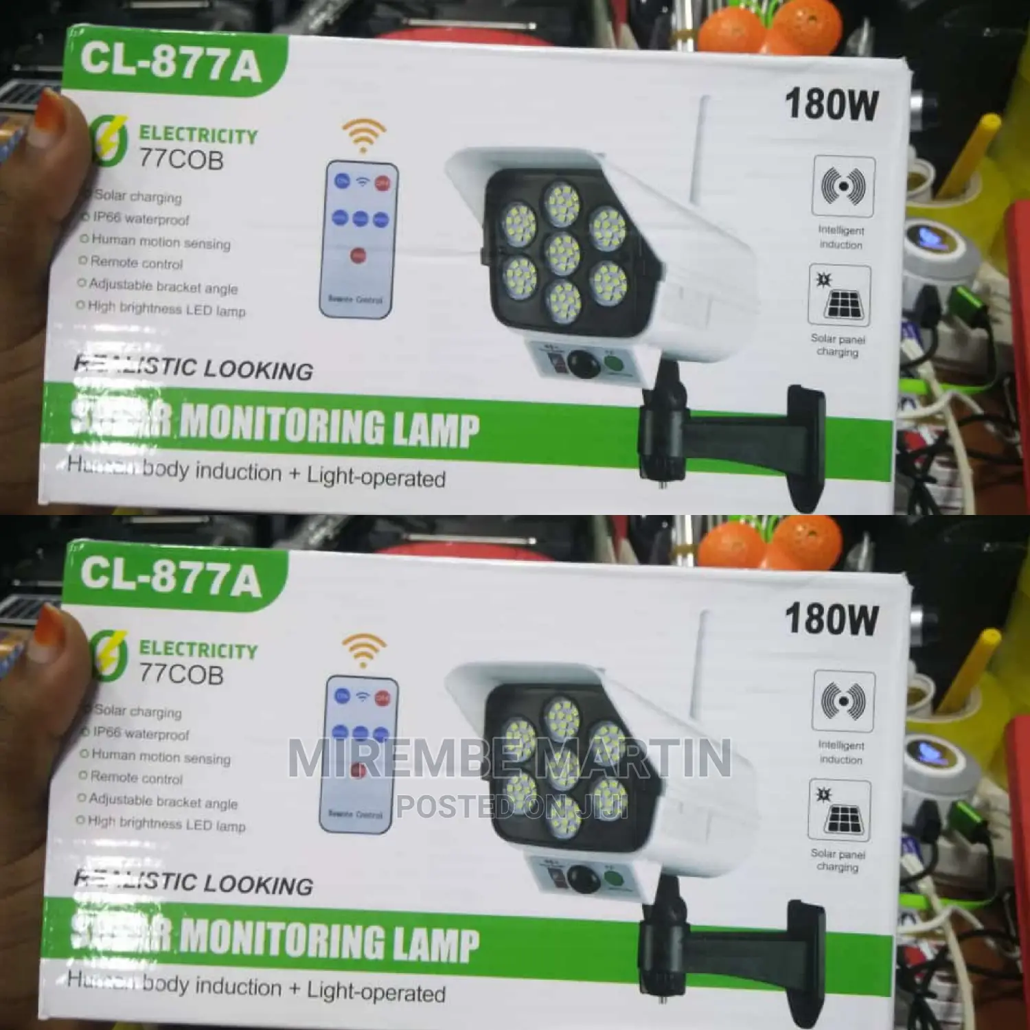 Security Solar Motion Sensor Light