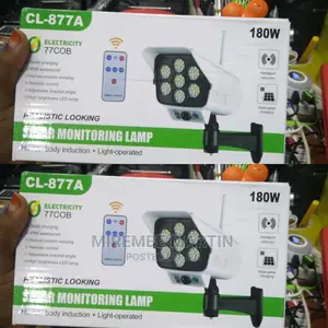 Security Solar Motion Sensor Light