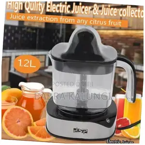 DSP Mini Electrical Citrus Juicer Orange Juice Squeezer