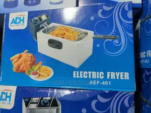 Electric Deep Fryer/Adh Deep Fryer/3l Deep Fryer/Deep Fryer