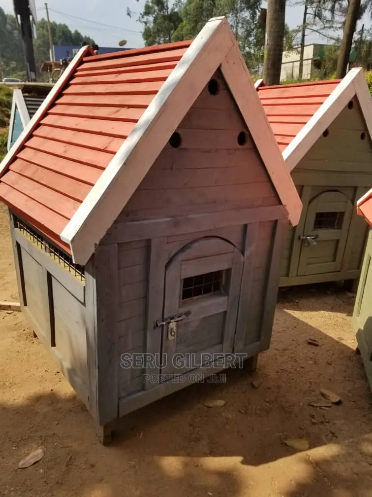 T Dog House