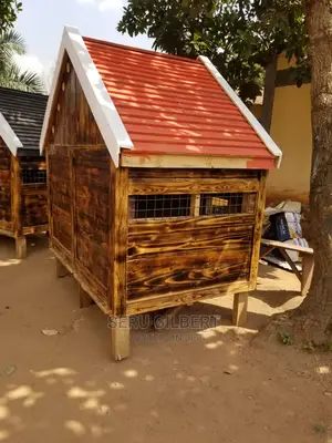 Vanished Dog House