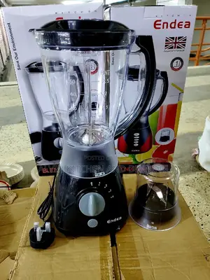Electric Blender 2in1