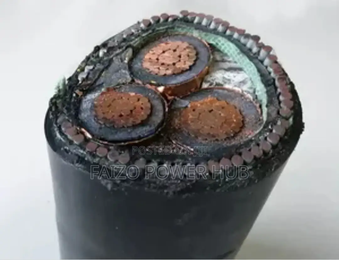 Flexible and Armored Cables/Wires