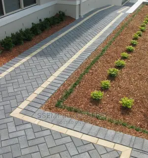 Interlocking Rectangular Pavers