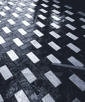 Interlocking Rectangular Pavers