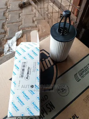 Oil Filter W166
