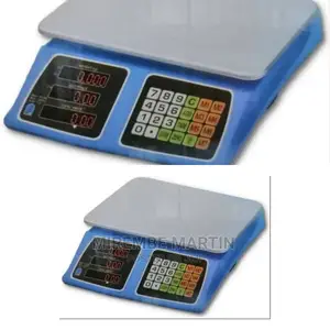 Portable Computer Scale