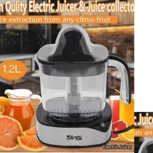 DSP Electric Mini Juice