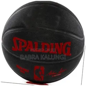 Spalding Basketball