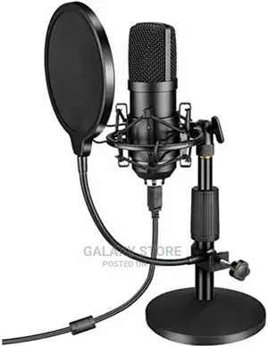 Pop Filter for Microphone Absorber Filter With Stand Clip