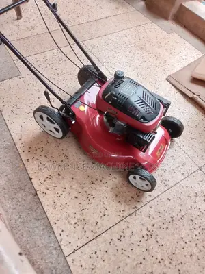 Lawn Mower 6HP